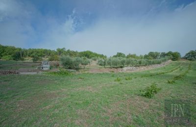 Villa histórica en venta Monterchi, Toscana, Imagen 23/24