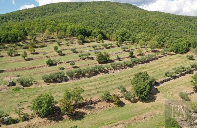 Villa histórica en venta Monterchi, Toscana, Imagen 24/24