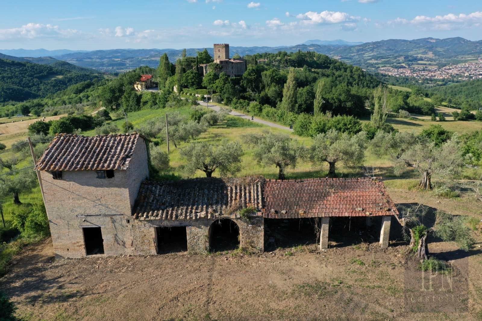Fotos Polgeto Olive Barn Project