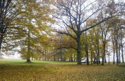 Parque histórico en venta Skorki, Voivodato de Mazovia,, Propiedad