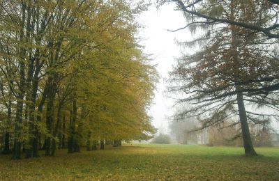 Parque histórico en venta Skorki, Voivodato de Mazovia,, Jardín del Palacio