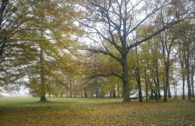 Parque histórico en venta Skorki, Voivodato de Mazovia,, Imagen 5/6