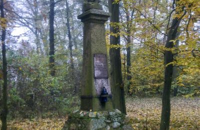 Parque histórico en venta Skorki, Voivodato de Mazovia,, Imagen 6/6