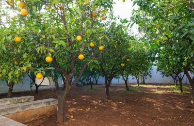 Casa de campo en venta Ostuni, Strada Provinciale 21, Apulia, Imagen 30/33