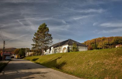 Casa señorial en venta Trenčiansky kraj, okres Trenčín, Melčice - Lieskové, Melčice, Región de Trenčín, Imagen 9/27