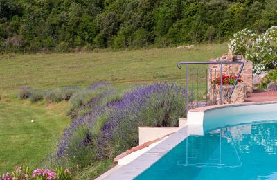 Inmueble histórico en venta Murlo, Toscana, Imagen 36/49