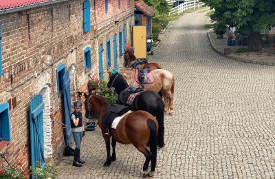 Casa señorial en venta Krzyż Wielkopolski, województwo wielkopolskie, Imagen 13/20