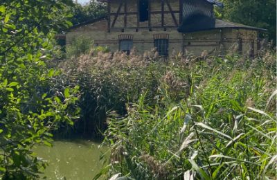Casa señorial en venta 17139 Malchin, Mecklemburgo-Pomerania Occidental, Federviehhaus am See