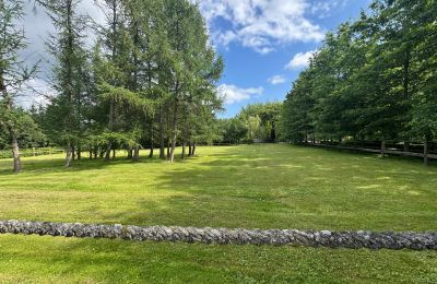 Casa de campo en venta Pomerania Occidental, Imagen 6/26