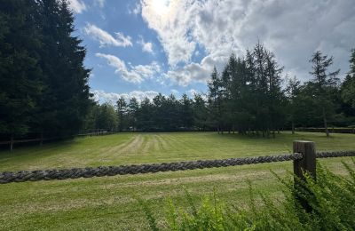 Casa de campo en venta Pomerania Occidental, Imagen 8/26