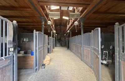 Casa de campo en venta Pomerania Occidental, Imagen 10/26