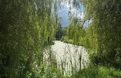 Casa de campo en venta Pomerania Occidental, Imagen 14/26