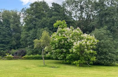 Casa de campo en venta Pomerania Occidental, Imagen 23/26