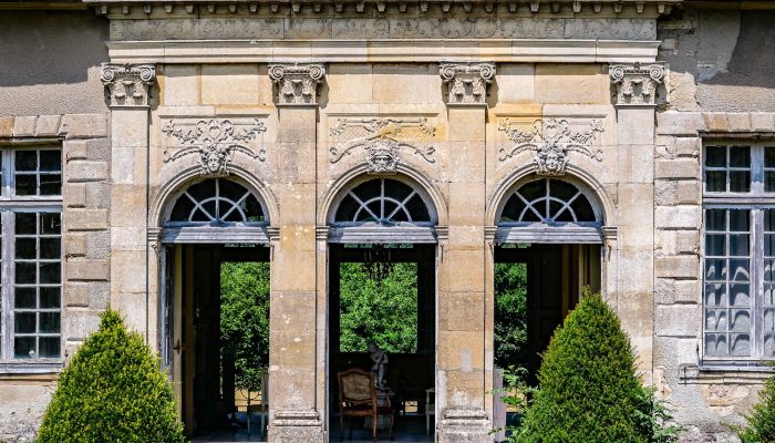 Palacio en venta Vitry-le-François, Grand-Est,  Francia