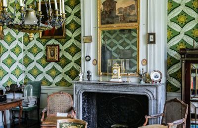 Palacio en venta Vitry-le-François, Grand-Est, Detalles