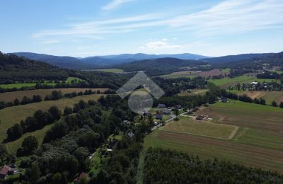 Casa señorial en venta Radochów, Baja Silesia, Imagen 9/10