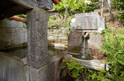 Propiedad Histórica en venta Gondomar, Galicia, Jardín