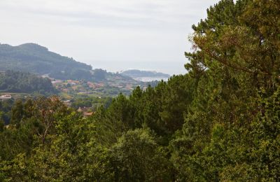 Propiedad Histórica en venta Gondomar, Galicia, Imagen 41/48