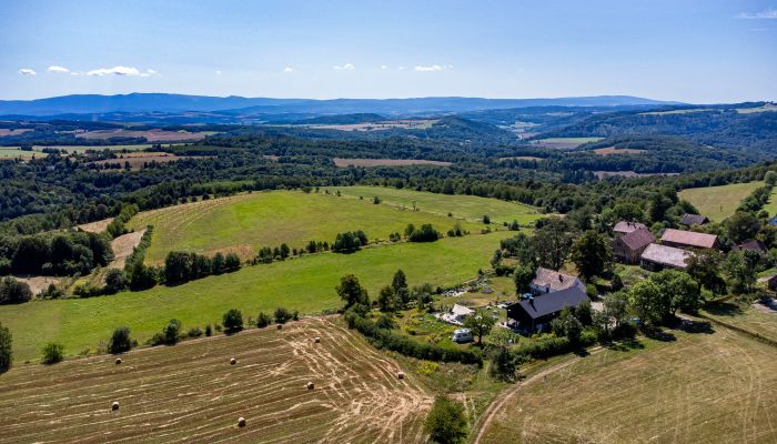 Casa de campo en venta Tarczyn, Voivodato de Baja Silesia,  Polonia, 4