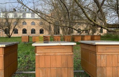 Casa señorial en venta Ojrzanów, Pałac w Ojrzanowie, Voivodato de Mazovia, Imagen 14/18