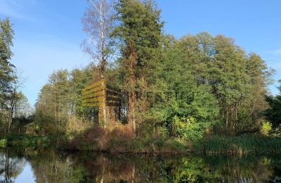 Casa señorial en venta Ojrzanów, Pałac w Ojrzanowie, Voivodato de Mazovia, Jardín del Palacio