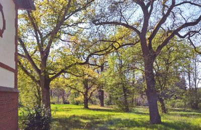 Casa señorial en venta 14715 Schollene, Sajonia-Anhalt, Propiedad