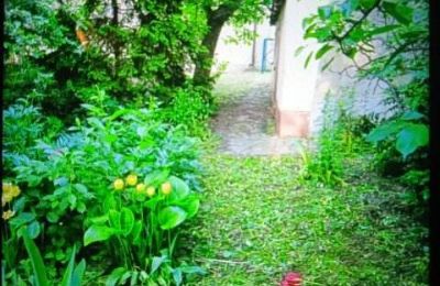 Propiedad Histórica en venta Izbica Kujawska, Toruńska 9, Cuyavia‑Pomerania, ogród za pomieszczeniem gospodarczym