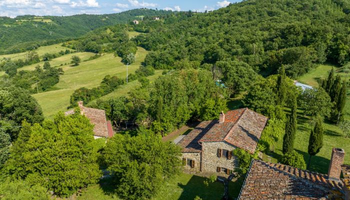  Anghiari 3