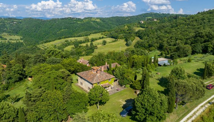  Anghiari 4