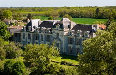 Inmuebles históricos, Castillo que necesita renovación en el oeste de Francia