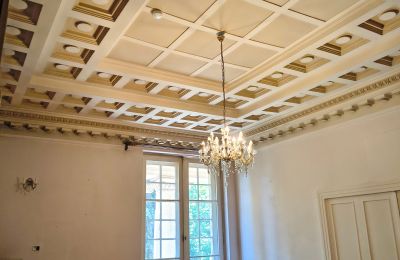 Palacio en venta Łubie, Pyskowicka 34, Silesia, Imagen 14/20