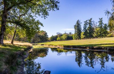 Palacio en venta Nevers, Bourgogne-Franche-Comté, Imagen 4/17