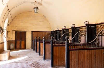 Palacio en venta Nevers, Bourgogne-Franche-Comté, Imagen 13/17