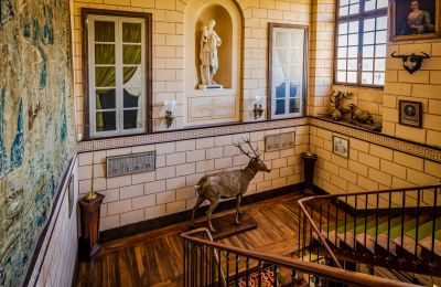 Palacio en venta Nevers, Bourgogne-Franche-Comté, Imagen 10/17