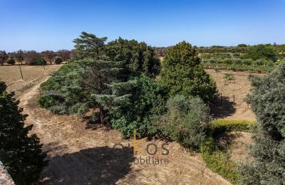 Propiedad histórica en venta Francavilla Fontana, Apulia, Imagen 12/34