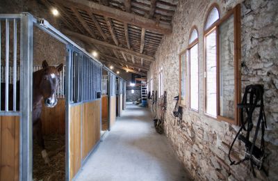 Palacio en venta Castellar del Vallès, Poligono 19 Parcela 12, Cataluña, Imagen 42/50