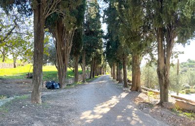 Palacio en venta Castellar del Vallès, Poligono 19 Parcela 12, Cataluña, Imagen 45/50