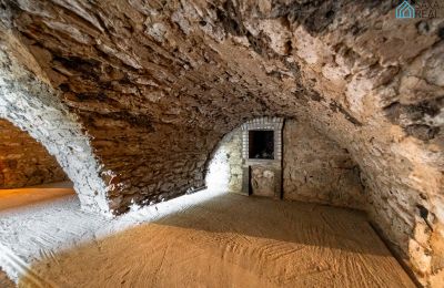 Casa señorial en venta Rakovec nad Ondavou, Región de Košice, Sótano