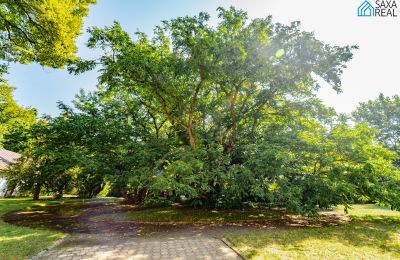 Casa señorial en venta Rakovec nad Ondavou, Región de Košice, Jardín del Palacio