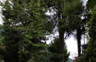 Mansión histórica en venta Faido, Tesino, Acceso