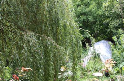 Mansión histórica en venta Faido, Tesino, Imagen 31/44