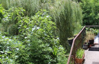 Mansión histórica en venta Faido, Tesino, Imagen 23/44