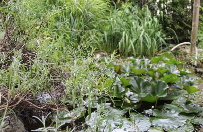 Mansión histórica en venta Faido, Tesino, Imagen 28/44