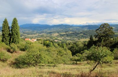 Casa de campo en venta Niévares, Asturias, Imagen 38/39