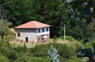 Casa de campo en venta Niévares, Asturias, Imagen 30/39