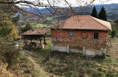 Casa de campo en venta Niévares, Asturias, Blick von hinten 