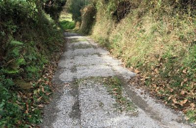 Casa de campo en venta Niévares, Asturias, Weg zum Haus 