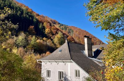 Mansión histórica en venta Waidhofen an der Ybbs, Baja Austria, Imagen 31/40