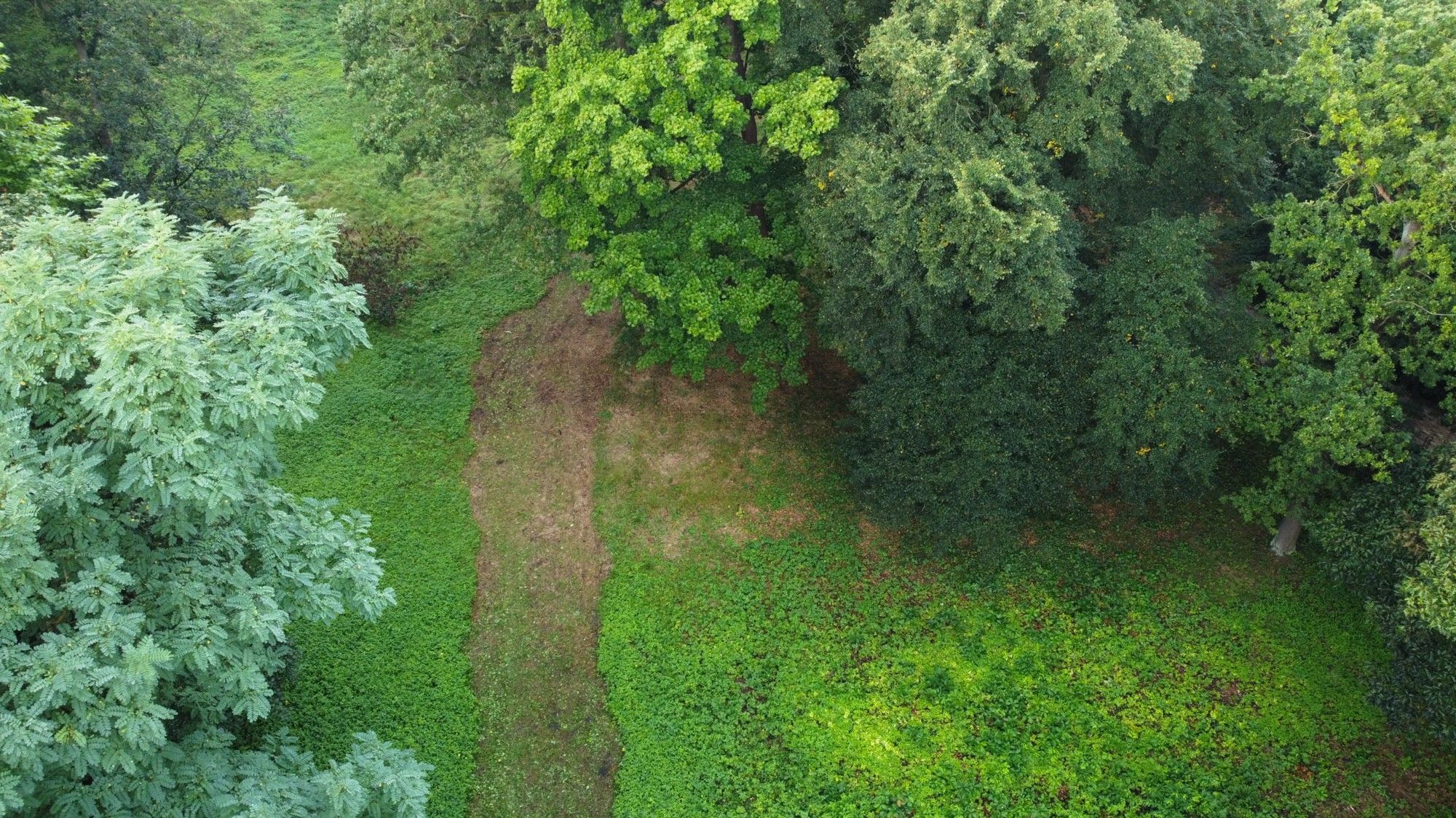 Fotos Historisches Gelände mit Baumöglichkeit in der Denkmalzone von Iłowa (Schloss Halbau)
