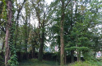 Parque histórico en venta Iłowa, Kolejowa 11, Lubusz, Imagen 11/17